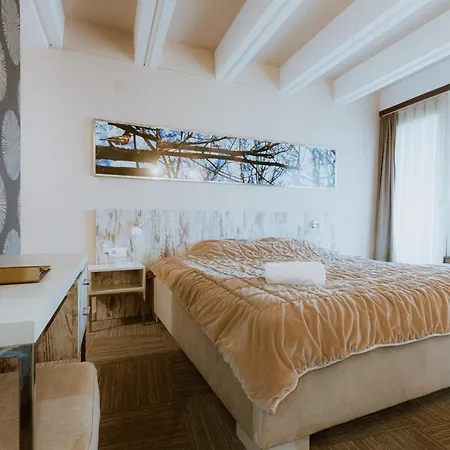 Hotel Medical And Centre Merkur