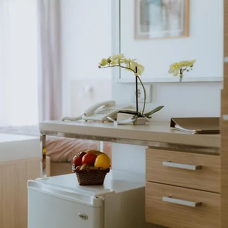 Medical And Centre Merkur Hotel Vrnjačka Banja