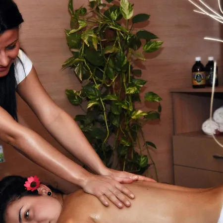 Hotel Medical And Centre Merkur Vrnjačka Banja